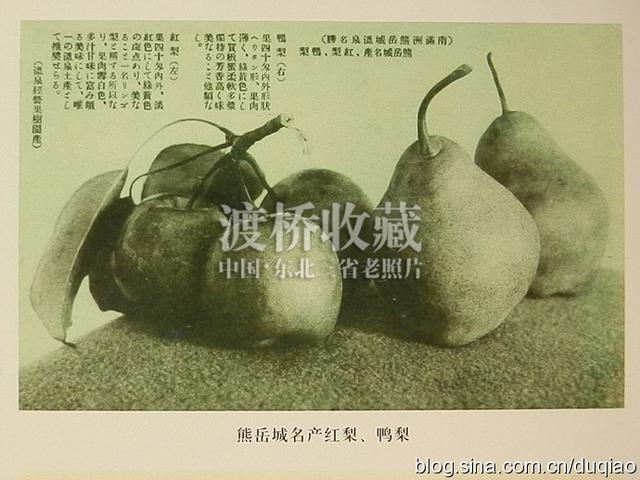 「熊岳旧影」熊岳城宝泉山和韩氏果园