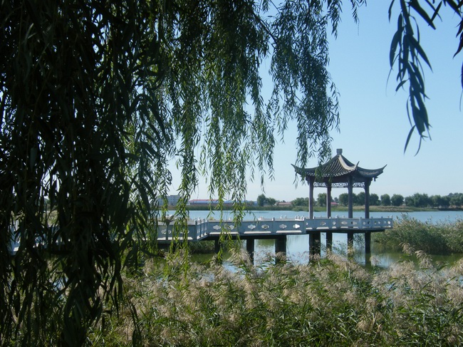 水师森林公园