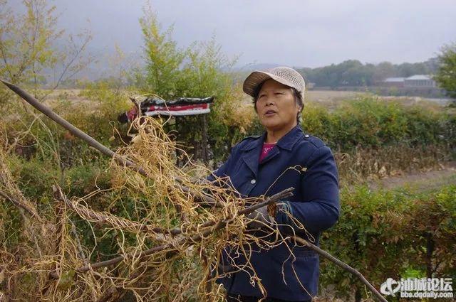 一面坡的惊悚古堡