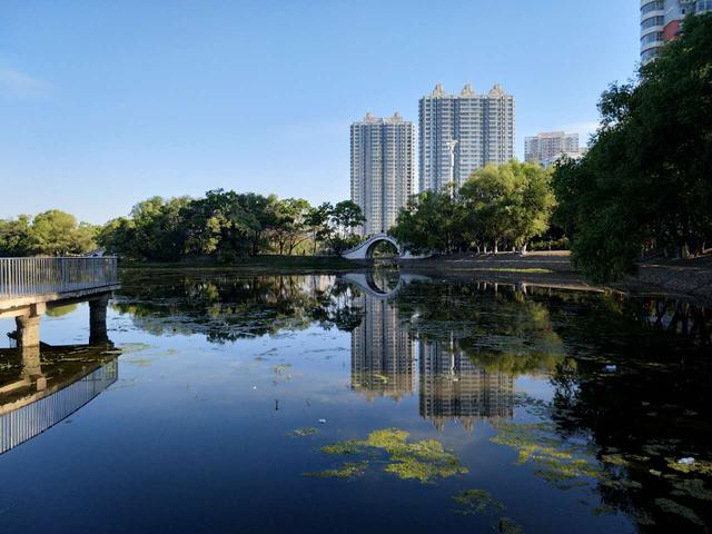 齐齐哈尔龙沙区的来历：定名于1961 年