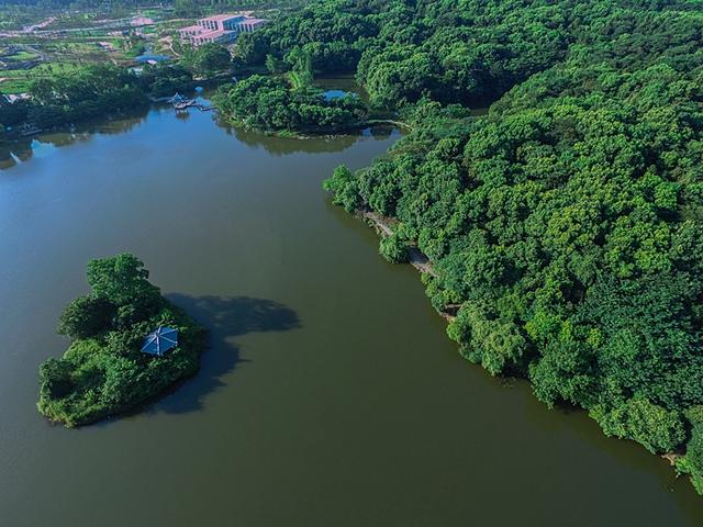 鸟瞰江城 生态宜居