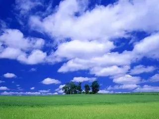 14.webp