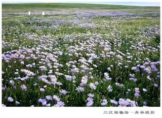 12.webp