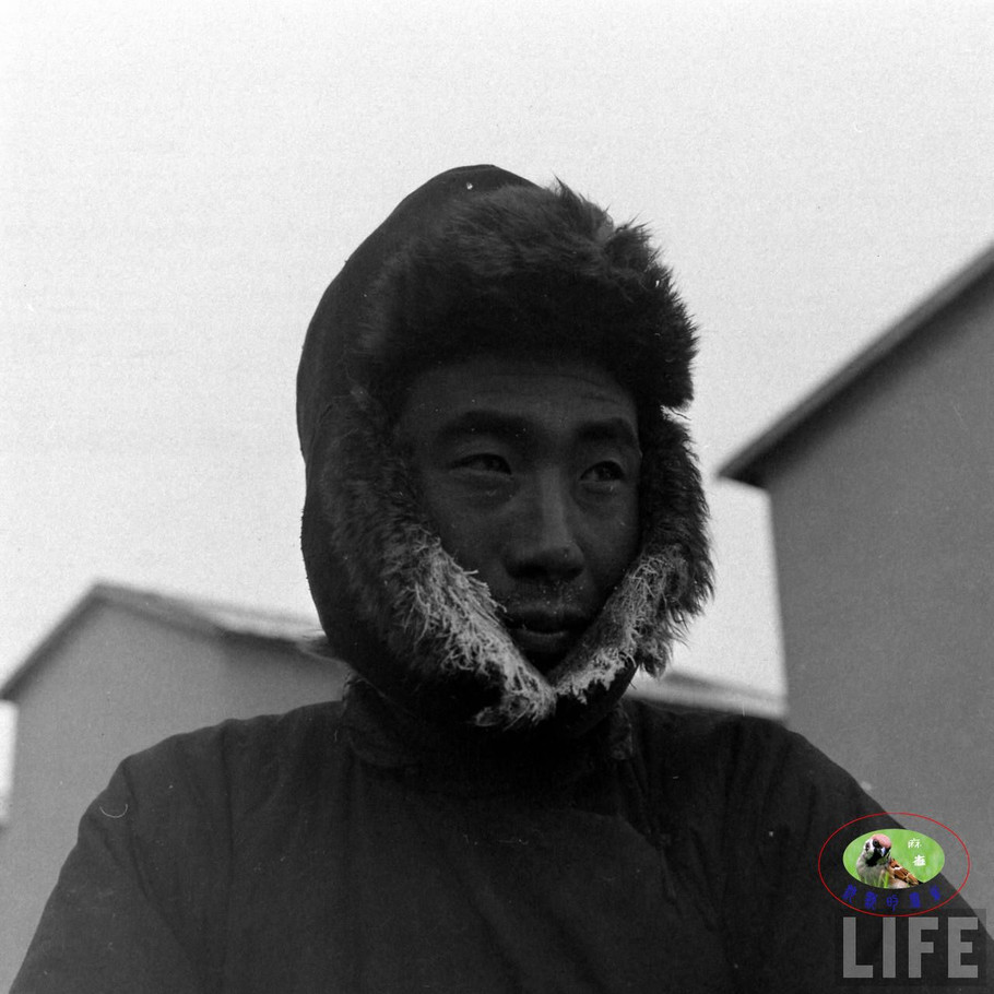 48年辽沈大战前的沈阳奉天的景象【三】 - 沉默的麻雀 - 沉默的麻雀的博客
