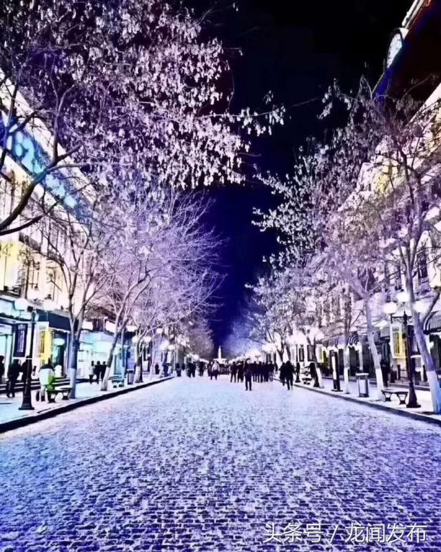 哈尔滨下雪了，空气特清新 ！美景，  如童话般的世界