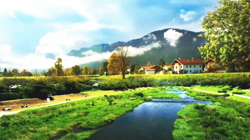 16.webp