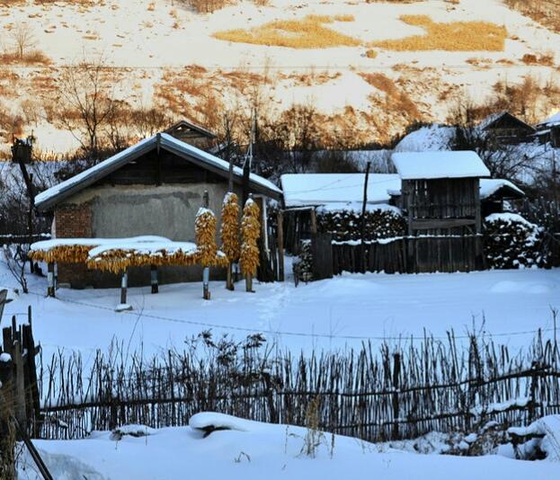 欢迎来看雪