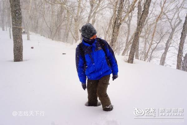 关于冬天想去东北雪乡游玩大家关心的一些问题，统统帮你们想到了